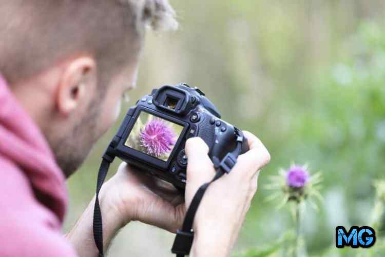 Лучшие любительские зеркальные фотоаппараты 2023 для начинающих фотографов 