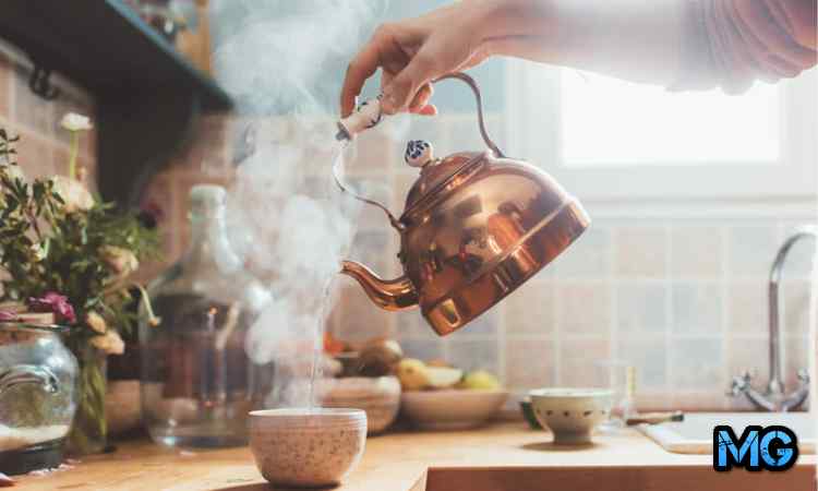 ТОП-13 самых лучших нержавеющих чайников для газовой плиты по цене и качеству 